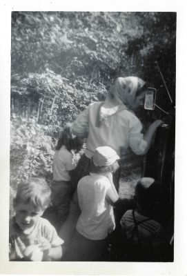 BerryPicking4
This set was in a photo envelope for B Hodgins

