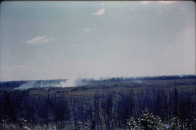 IMG00086.JPG