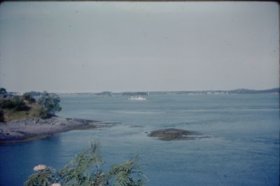 IMG00096.JPG