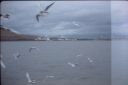 IMG00080_28Custom29.JPG