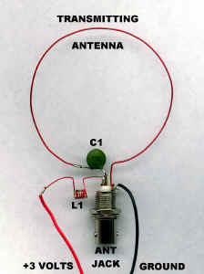 ant1.jpg (195355 bytes)